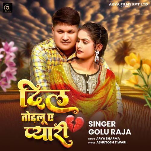 Dil Todlu Ae Pyari