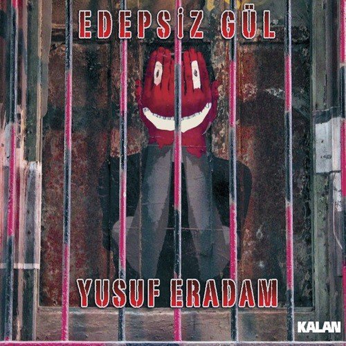 Nazım cover art
