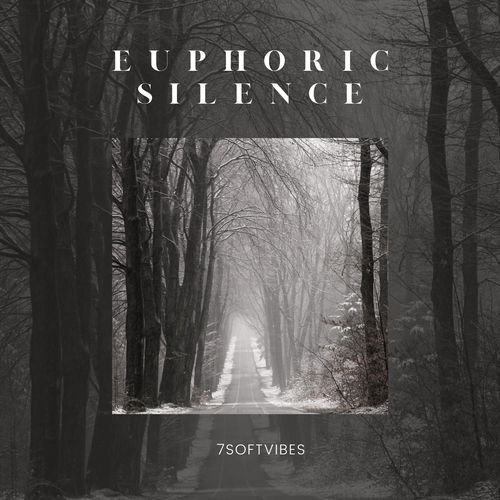 Euphoric Silence