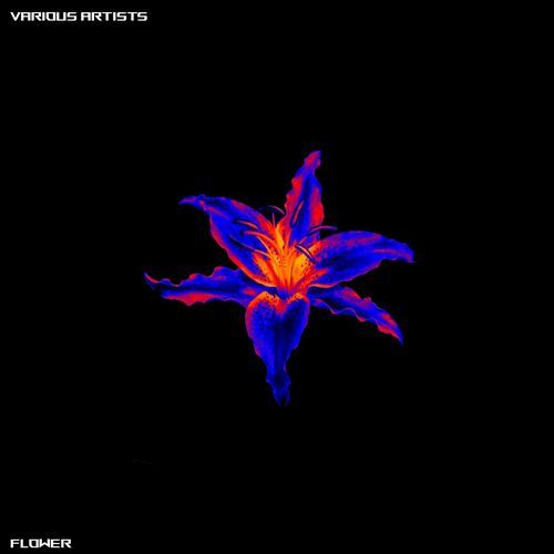 Prime cover art