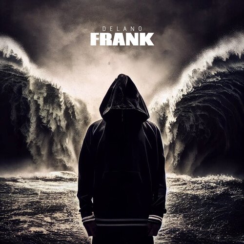 Frank_poster_image