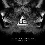 Hey Lion (Tom & Collins Remix)