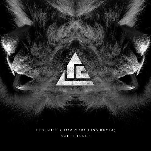 Hey Lion (Tom &amp; Collins Remix)_poster_image