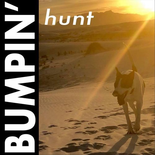 Plunger cover art