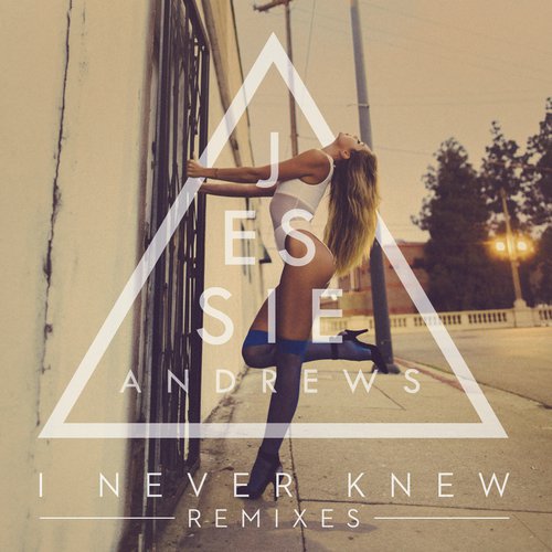 I Never Knew (Remixes)_poster_image