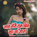 Jaan Meri Tum Bin Raha Na Jaat