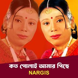 Koto Polay Amar Piche