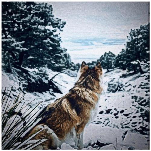 Lone Wolf cover art