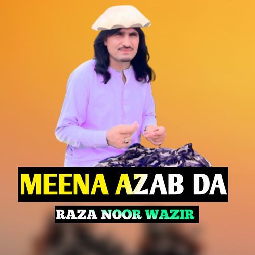 MEENA AZAB DA