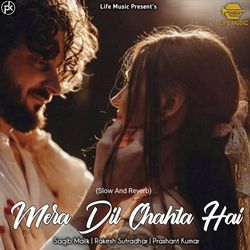 Mera Dil Chahta Hai (Slow And Reverb)