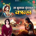 Naa Bulaya Vrindavan Kanha