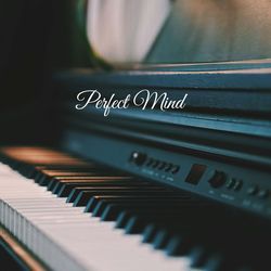 Perfect Mind