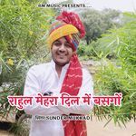 Rahul Mehra Dil Basgo