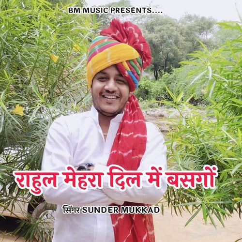 Rahul Mehra Dil Basgo