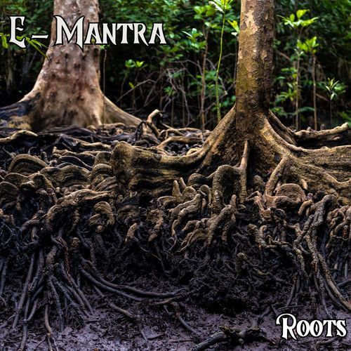 Roots