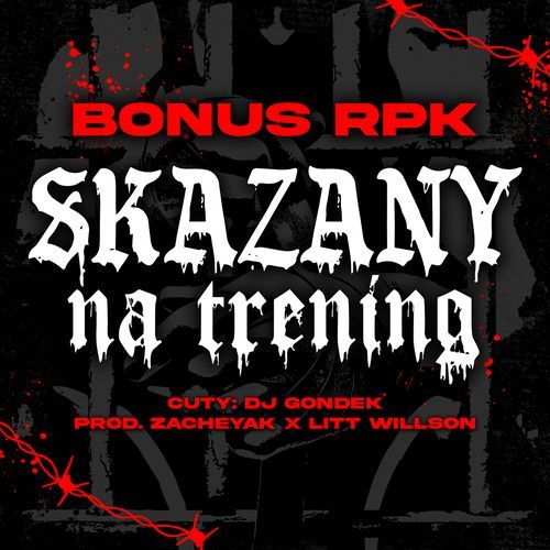 SKAZANY NA TRENING_poster_image