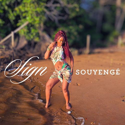 Sign cover art