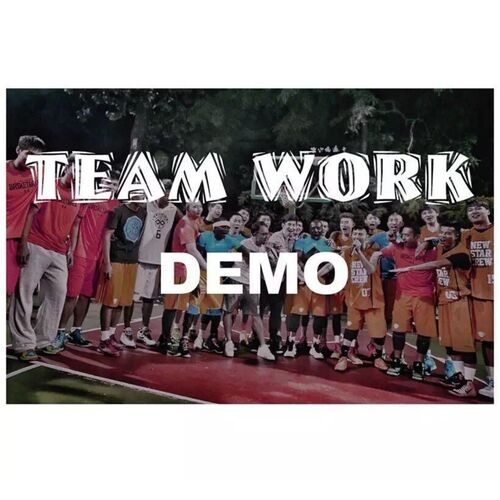 Team Work (Demo)_poster_image