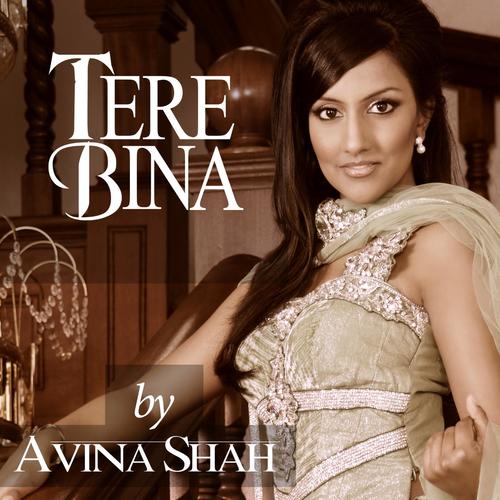 Tere Bina_poster_image