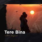 Tere Bina