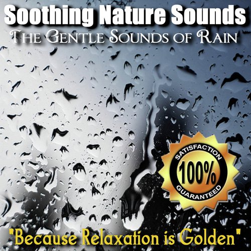 The Gentle Sounds of Rain_poster_image