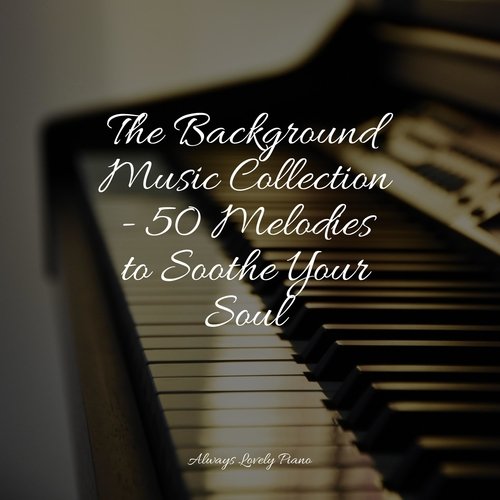 The Most Beautiful Sounds - 50 Soothing Piano Melodies