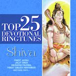 Shiva Shadakshar Stotra