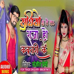 sudhiyo na le la ho raja kabutri ke (bhojpuri)-PSY5HBhBZgQ