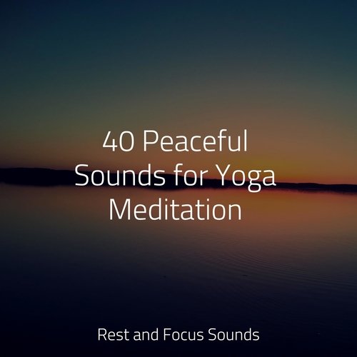 40 Peaceful Sounds for Yoga Meditation_poster_image