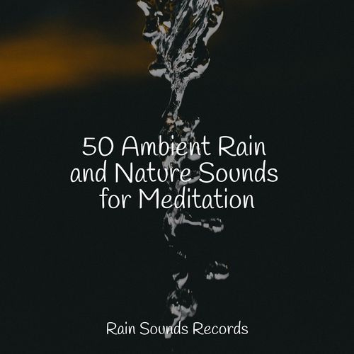 50 Ambient Rain and Nature Sounds for Meditation