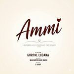 Ammi