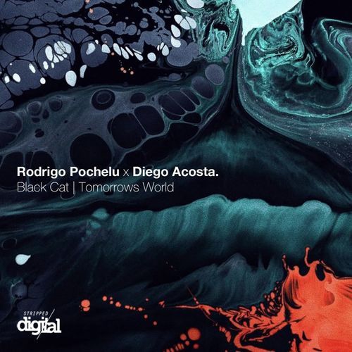 Black Cat | Tomorrows World