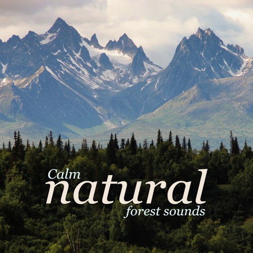 By the Spring cover art