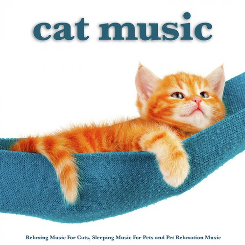 Background Music For Kittens