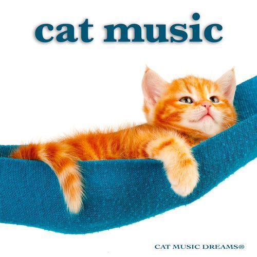 Cat Music