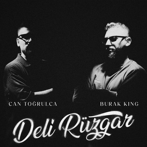 Deli Rüzgar_poster_image