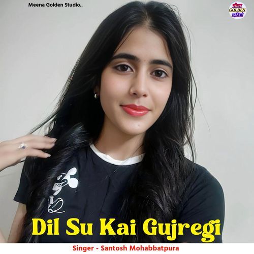 Dil Su Kai Gujregi