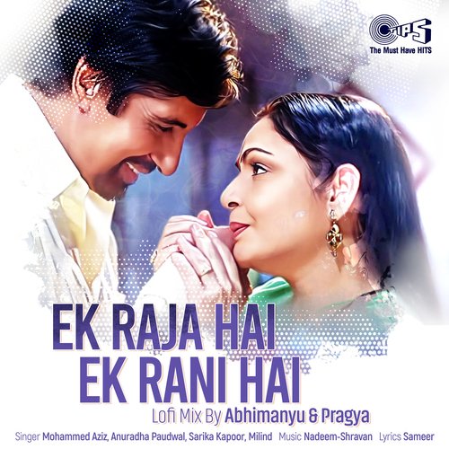 Ek Raja Hai Ek Rani Hai (Lofi Mix)_poster_image