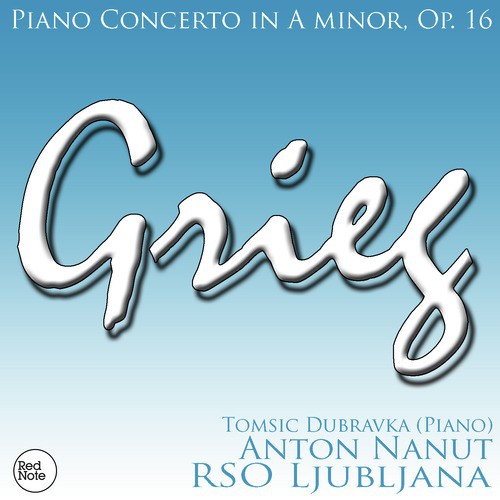 Piano Concerto in A minor, Op. 16: I. Allegro molto moderato