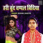 Hari Boond Chappal Bindiya