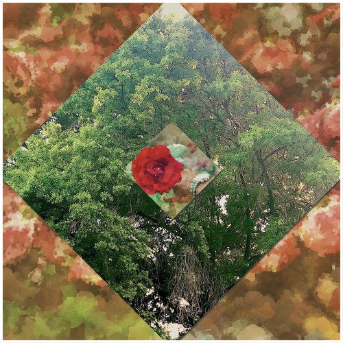 Fxmxus Jxne cover art