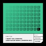 I Want You (Forever) (Josh Butler Remix - Shorter Edit)
