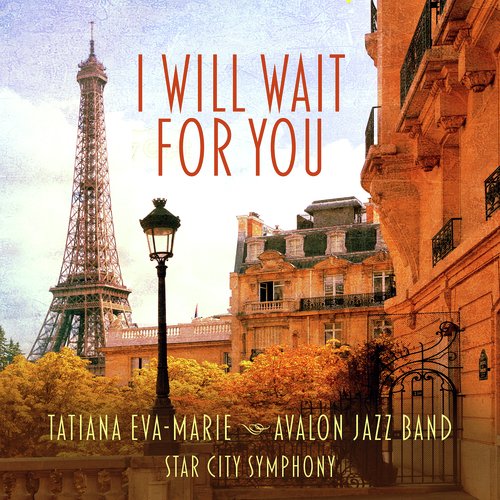 I Will Wait for You_poster_image