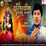 Maro Dwarkadhish Dil No Dhabkaro