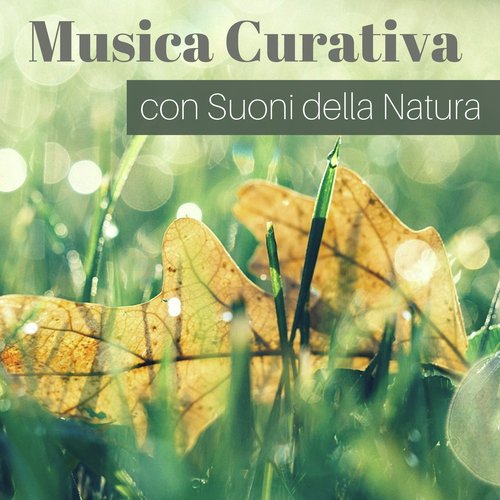 Musica Curativa con Suoni della Natura - Suono Naturale per Allineare i Chakra e Calmarsi