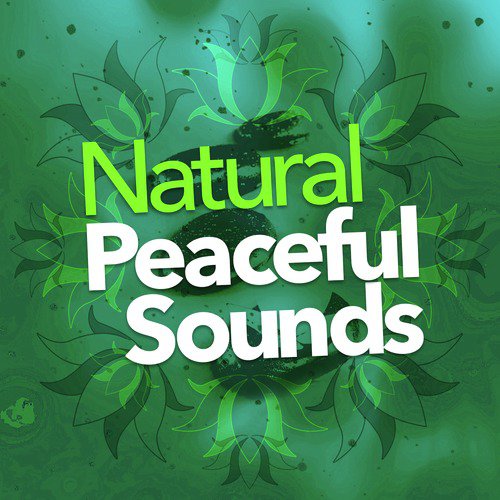 Natural Peaceful Sounds