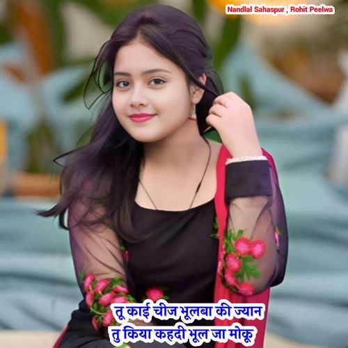तू काई चीज भूलबा की ज्यान तु किया कहदी भूल जा मोकू
