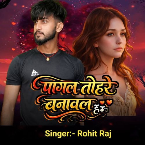 Pagal Tohare Banaval Ha