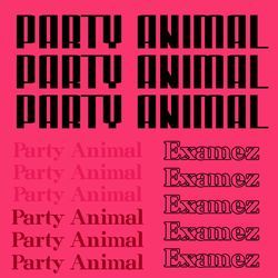 Party Animal-ABAFUC1CbVs