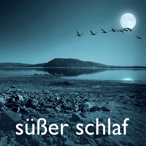 Dog Whisper - Nature Sounds cover art